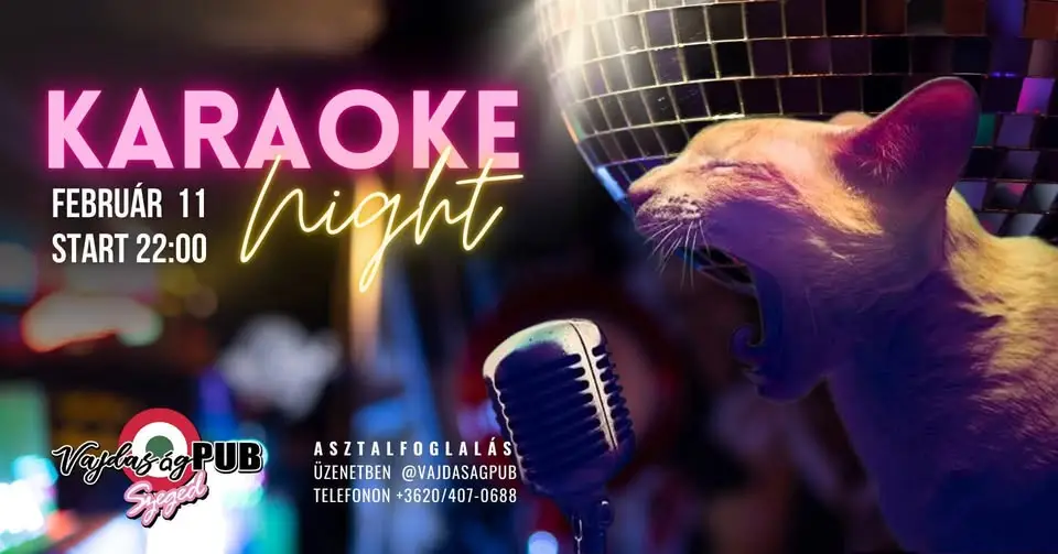 KARAOKE NIGHT 🎤🎶 VajdaságPUB