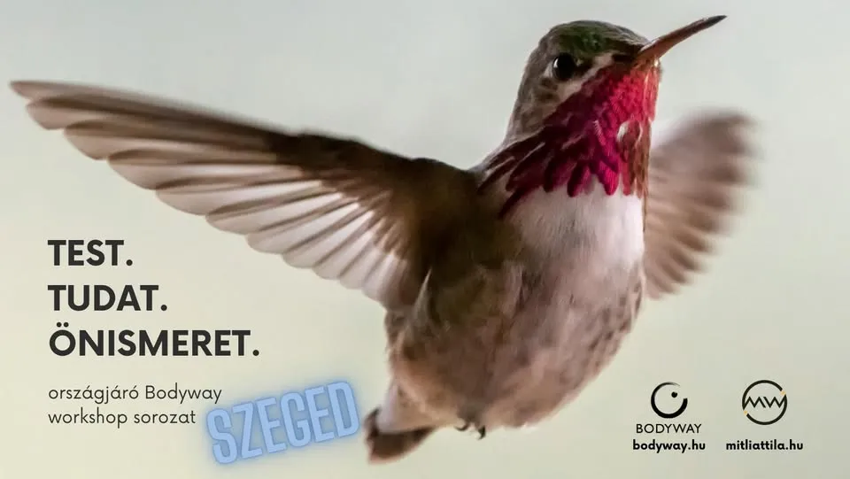 Telo, svest, samospoznaja.